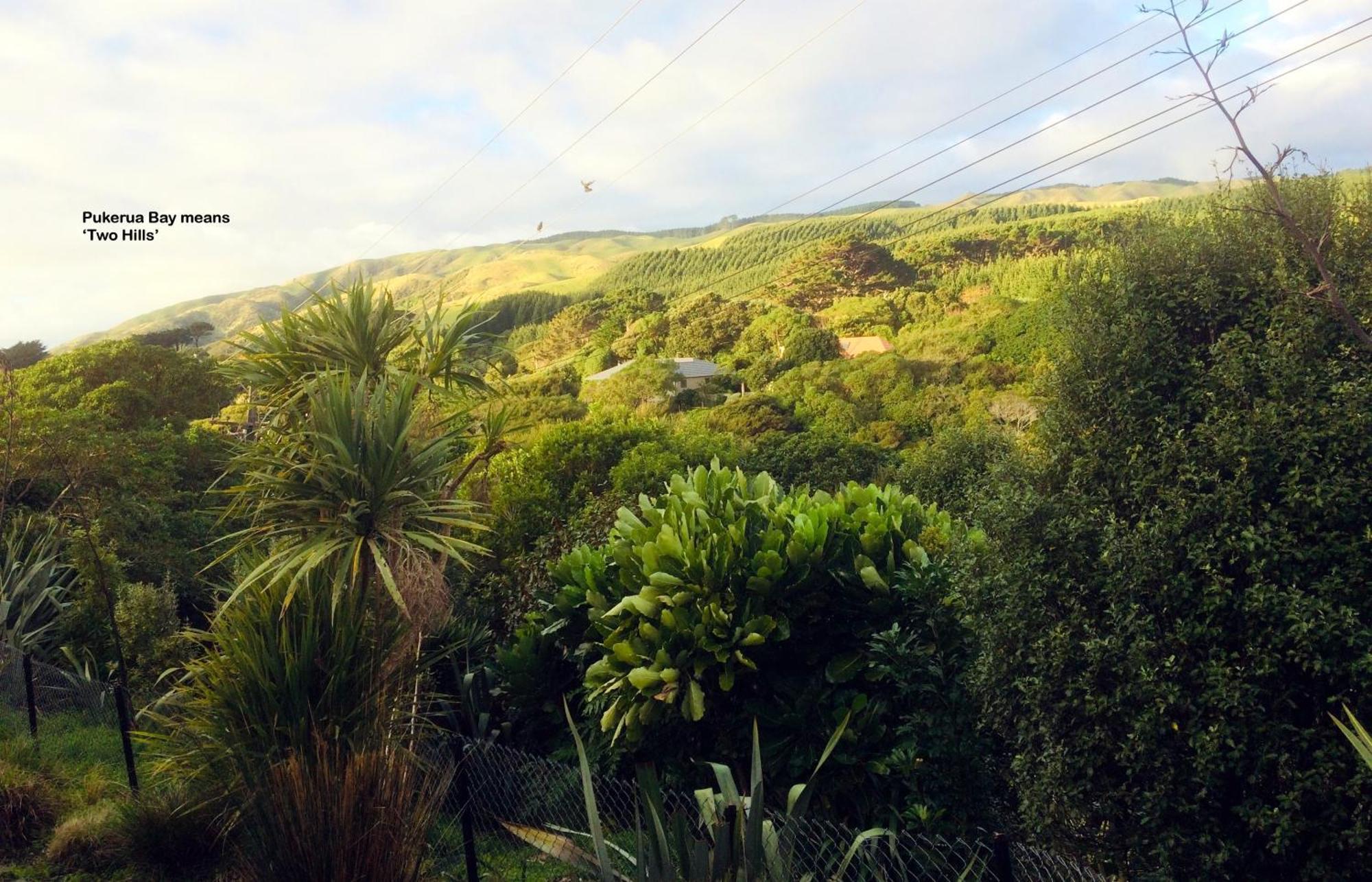 Ferienwohnung Peaceful Pukerua Bay Exterior foto